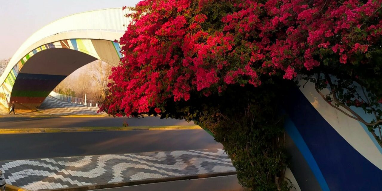 santa rita parque alem