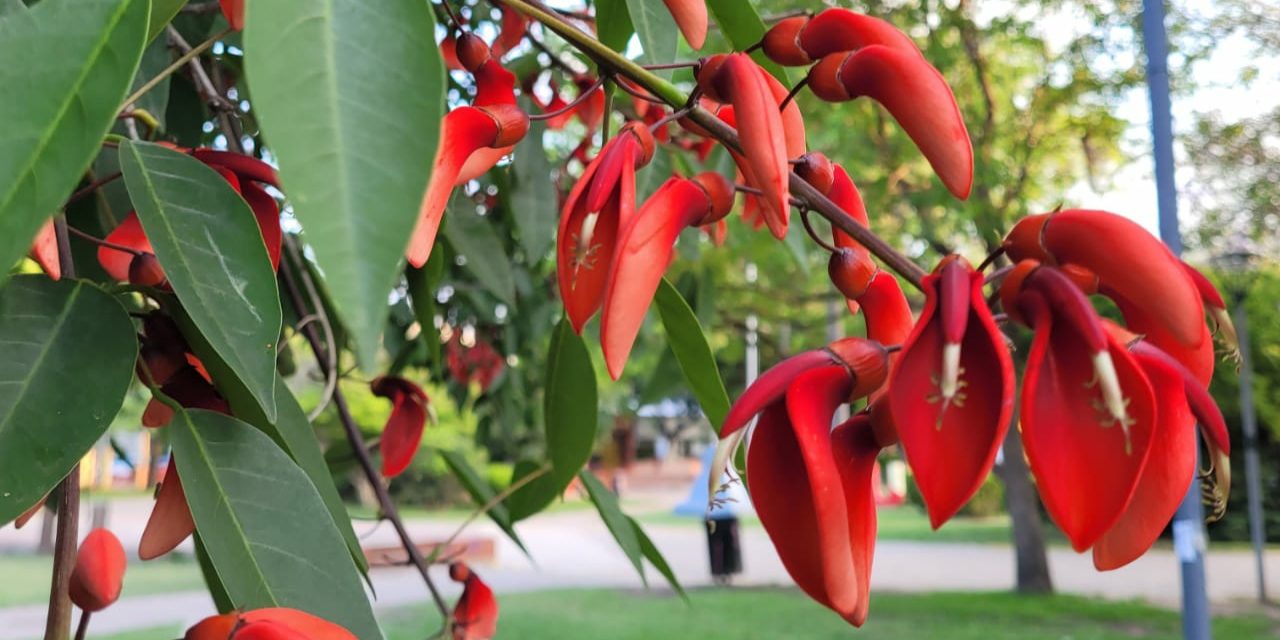 WhatsApp Image 2021-11-09 at 20.47.22