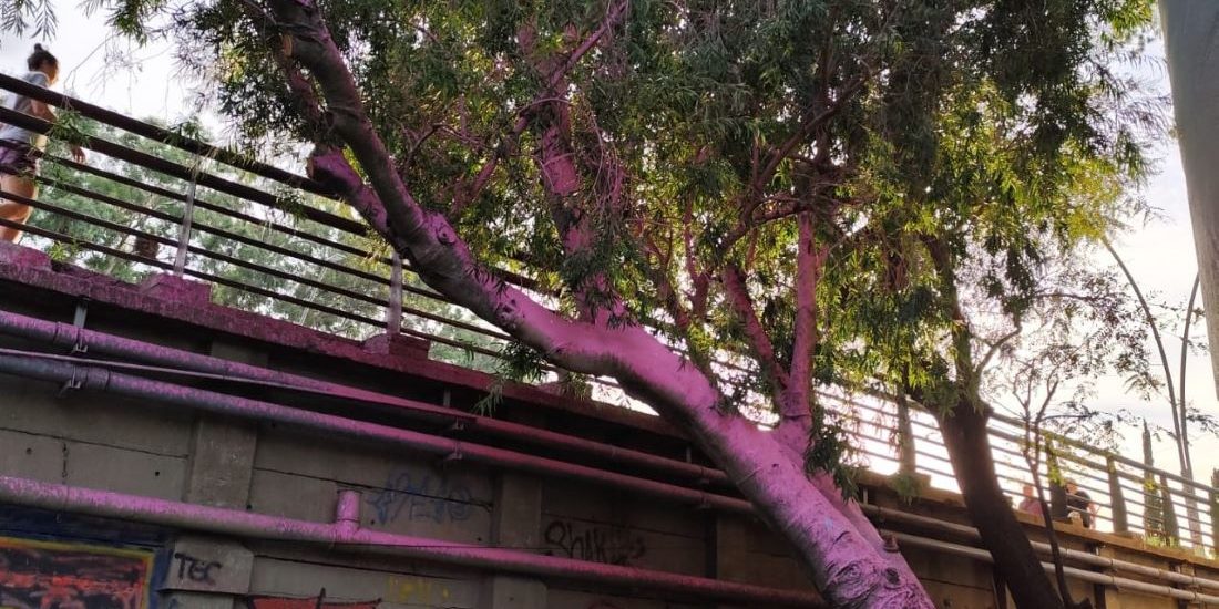 agenda arbol rosa macro