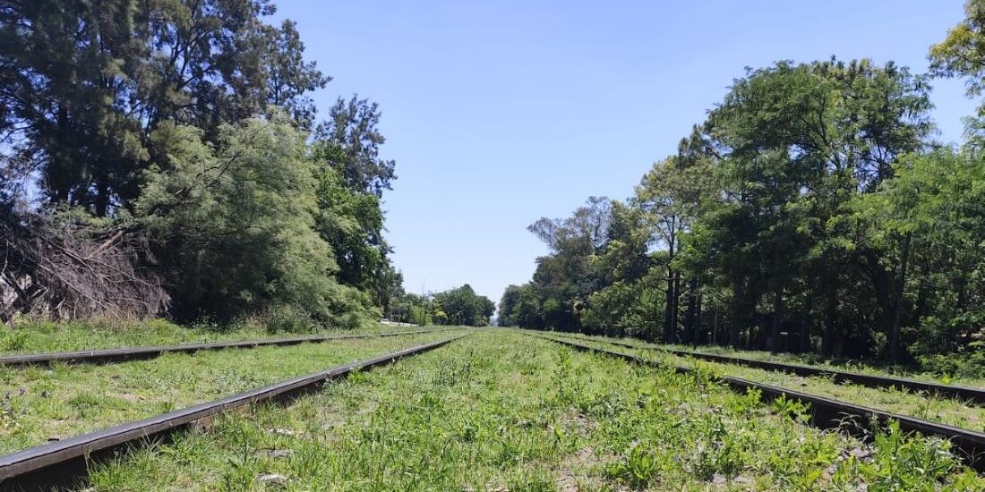 vias del tren
